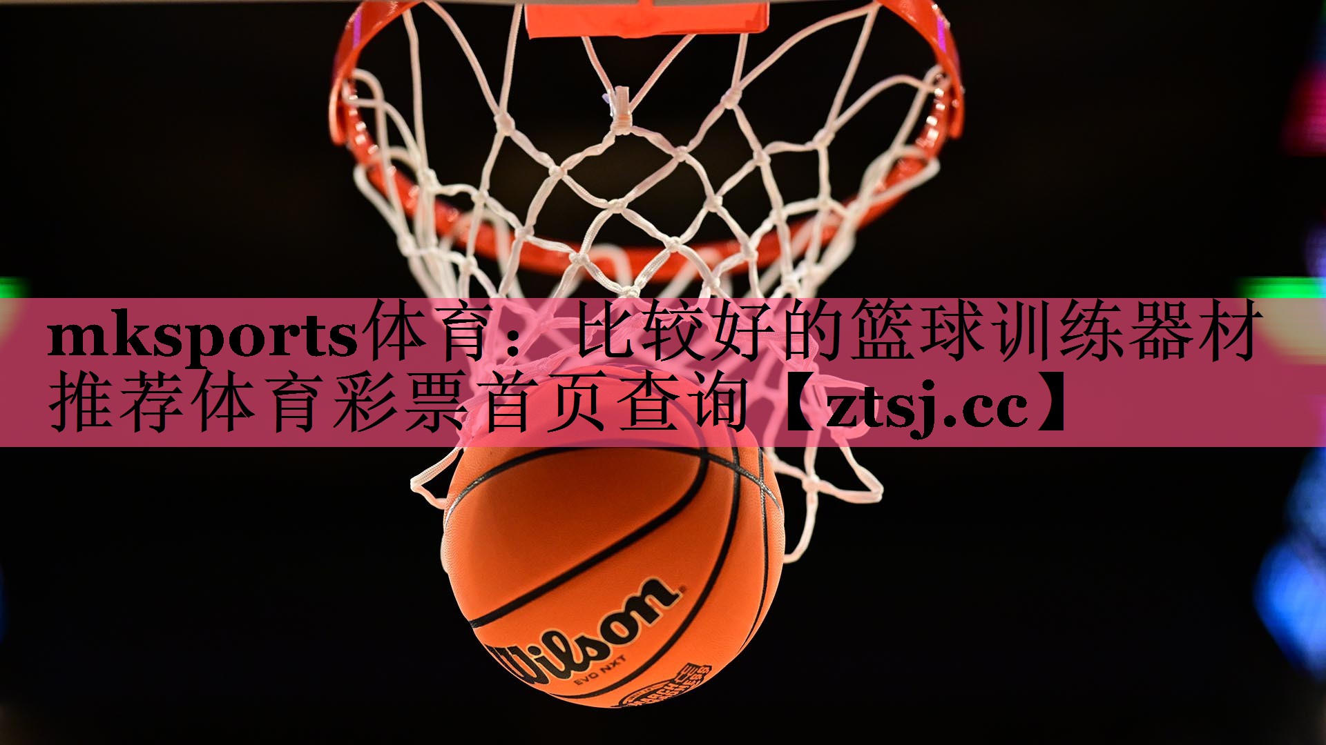 mksports体育：比较好的篮球训练器材推荐体育彩票首页查询