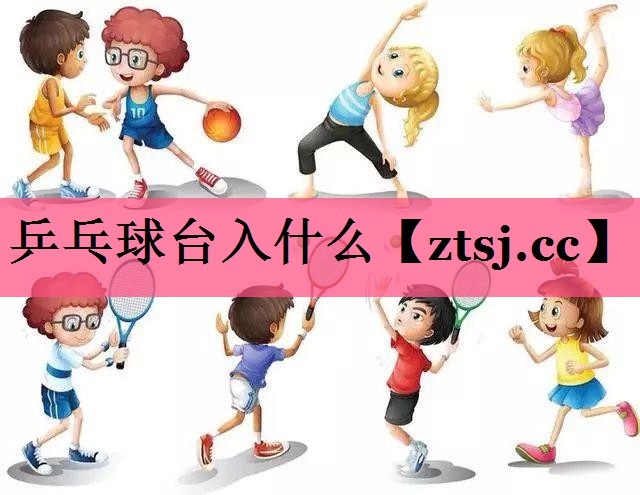 乒乓球台入什么