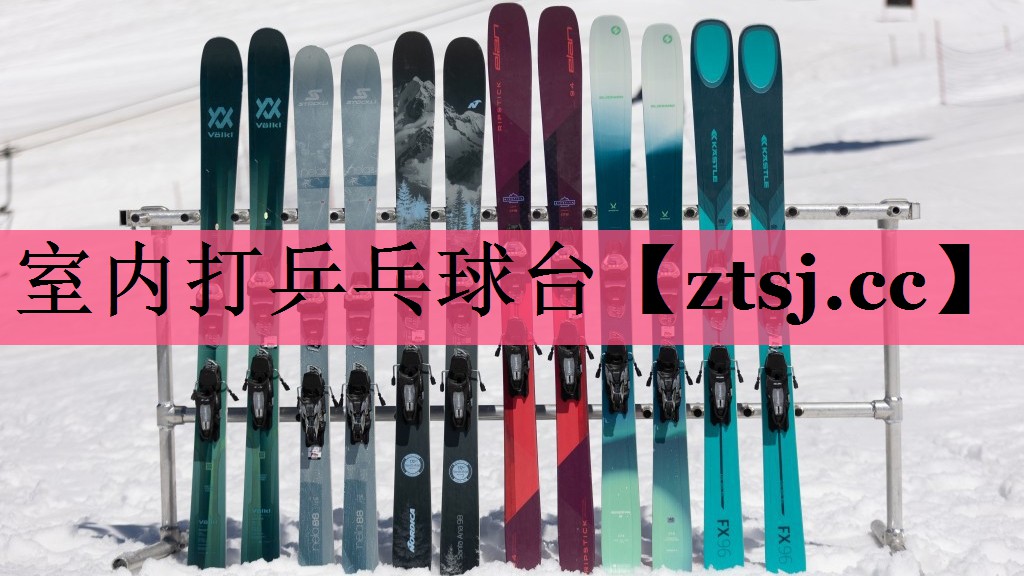 室内打乒乓球台
