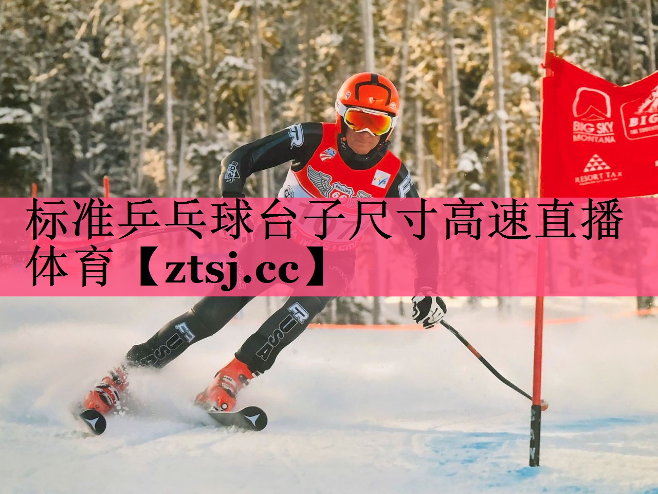 标准乒乓球台子尺寸高速直播体育