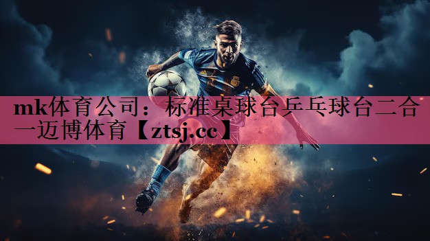 mk体育公司：标准桌球台乒乓球台二合一迈博体育