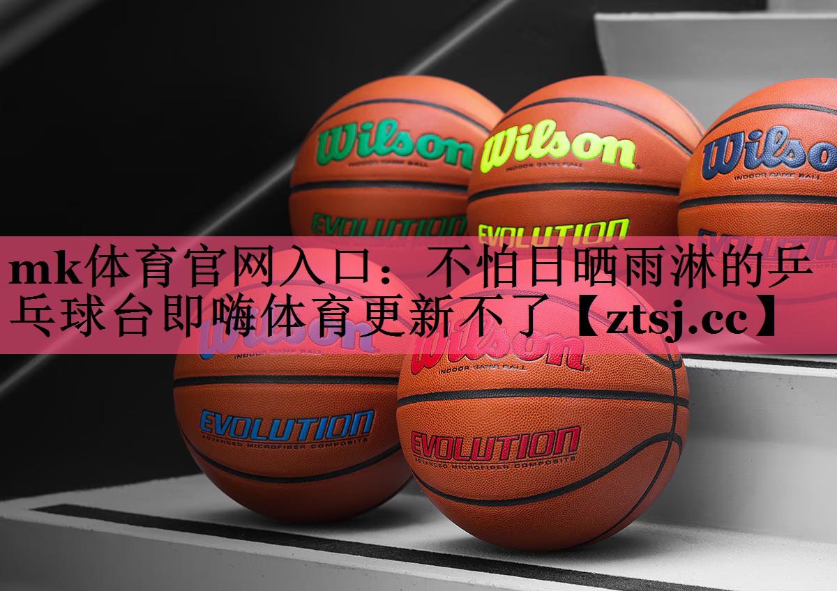 mk体育官网入口：不怕日晒雨淋的乒乓球台即嗨体育更新不了