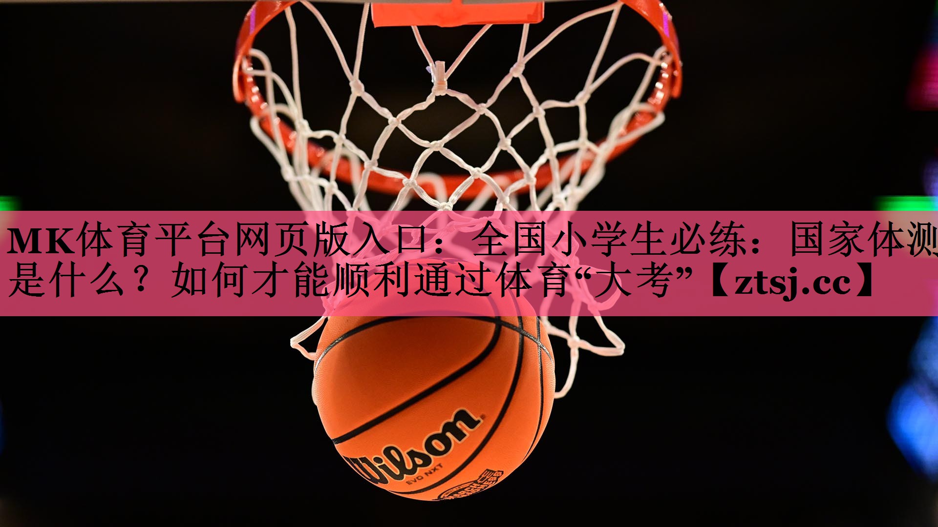 MK体育平台网页版入口：全国小学生必练：国家体测是什么？如何才能顺利通过体育“大考”
