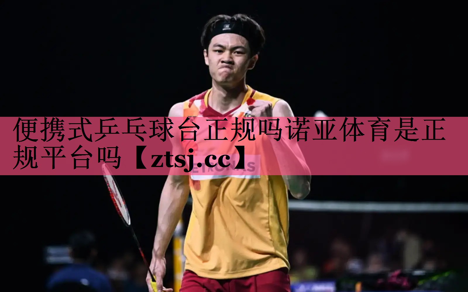 便携式乒乓球台正规吗诺亚体育是正规平台吗