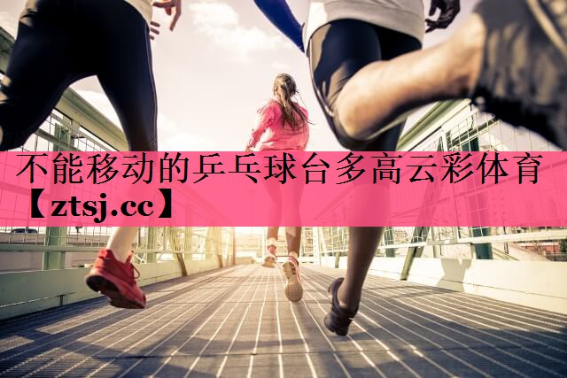 不能移动的乒乓球台多高云彩体育