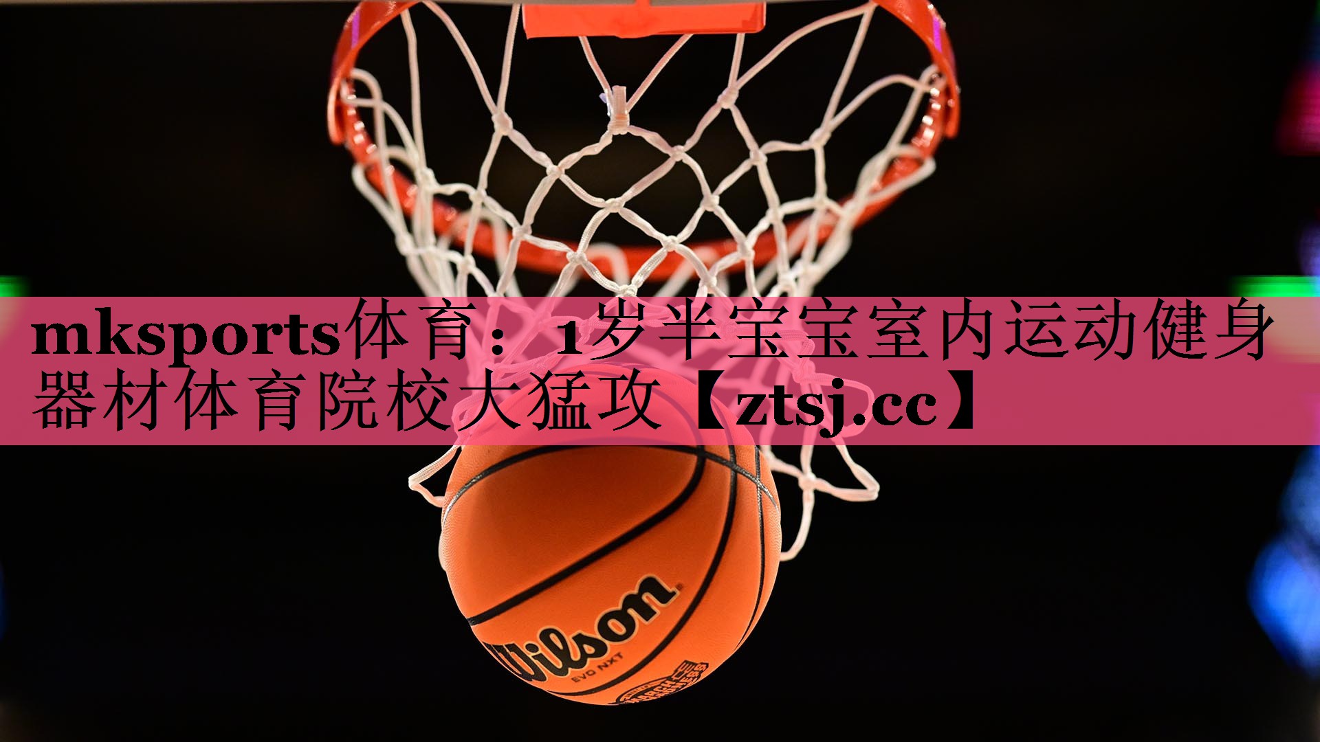 mksports体育：1岁半宝宝室内运动健身器材体育院校大猛攻