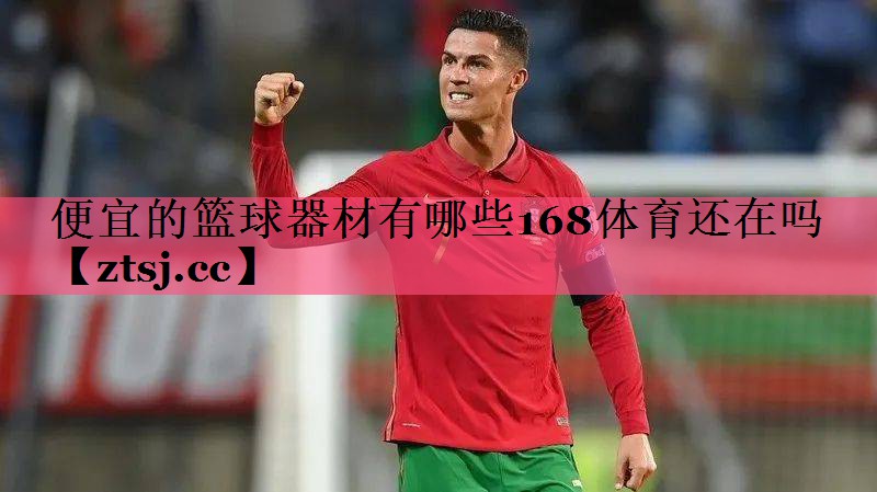 便宜的篮球器材有哪些168体育还在吗