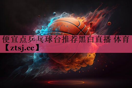 便宜点乒乓球台推荐黑白直播 体育
