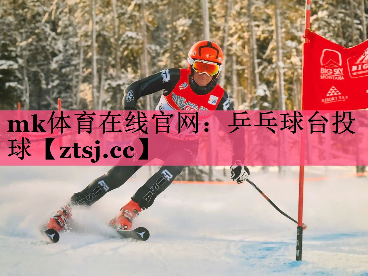 mk体育在线官网：乒乓球台投球