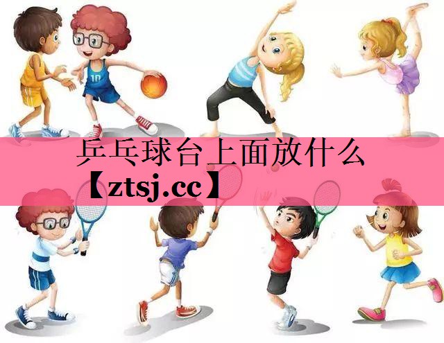 乒乓球台上面放什么