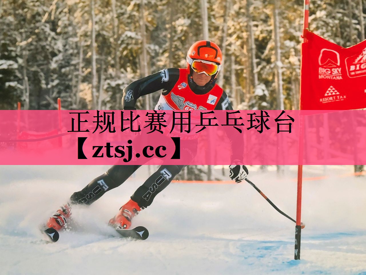 正规比赛用乒乓球台
