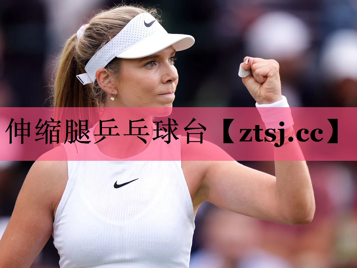 伸缩腿乒乓球台 伸缩腿乒乓球台