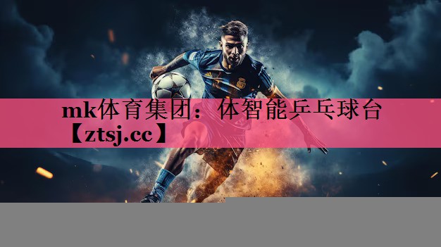 体智能乒乓球台 体智能乒乓球台