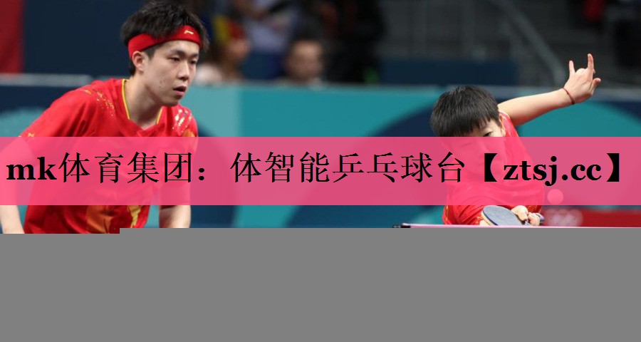 体智能乒乓球台 体智能乒乓球台