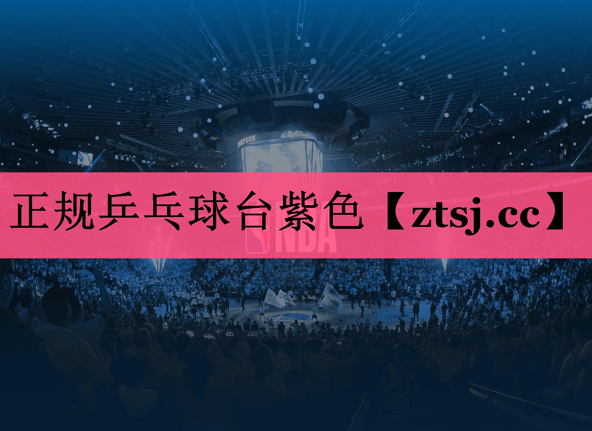 正规乒乓球台紫色 正规乒乓球台紫色