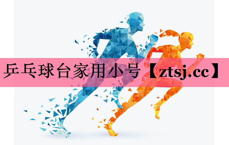 乒乓球台家用小号
