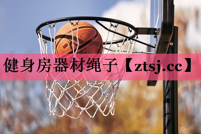健身房器材绳子 健身房器材绳子