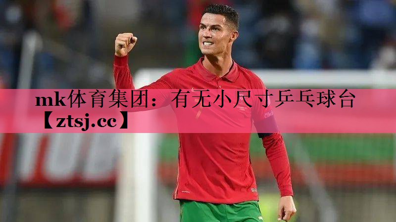 有无小尺寸乒乓球台 有无小尺寸乒乓球台